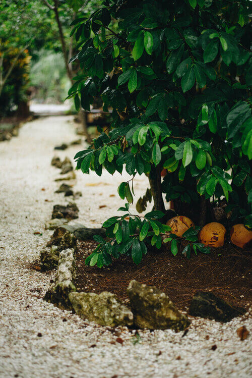 Images of your Luxury Vacation in Negril,Jamaica